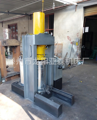 液壓立式榨油機(jī) 傳統(tǒng)工藝榨油機(jī) 豆類作物壓榨機(jī)器