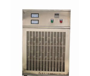 l高品質(zhì) 【直銷】 優(yōu)質(zhì) 小型臭氧發(fā)生器 廢氣處理廠家