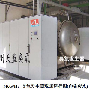 供應(yīng)天藍(lán)氧氣源臭氧發(fā)生器TL-10KG，氧氣源，全自動化系統(tǒng)，PLC控制，印染廢水降解COD、脫色，