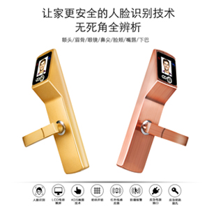 【帝曼歐Dimanou】人臉識(shí)別鎖 防盜門電子密碼鎖非指紋鎖 家用智能鎖
