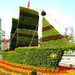 五色草  自然風景區(qū) 城市主題公園