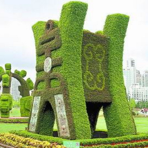 五色草  自然風景區(qū) 城市主題公園