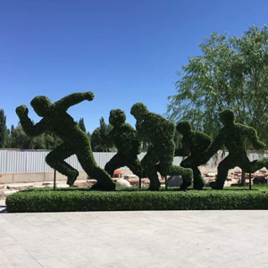 北京五色草供應(yīng)  設(shè)計制作   廠家安裝     五色草