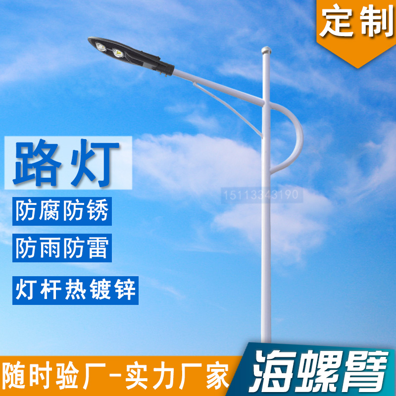 供應(yīng)LED路燈6米路燈桿不銹鋼燈桿報(bào)價(jià)圖片廠家