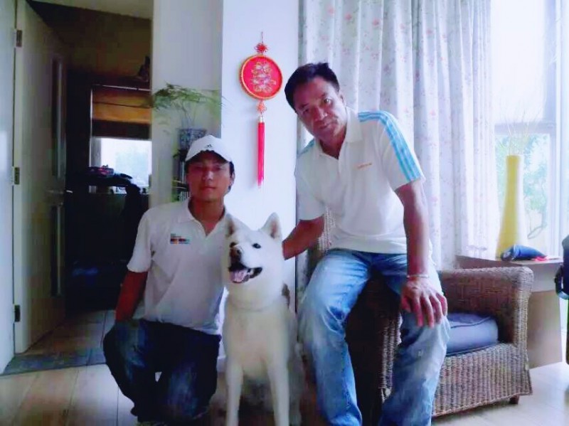 寵物訓(xùn)練 北京上門訓(xùn)犬