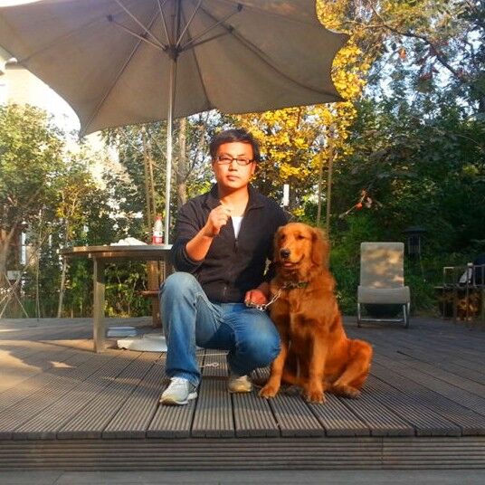 寵物訓(xùn)練 北京上門訓(xùn)犬