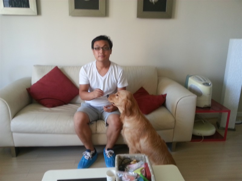 寵物訓(xùn)練 北京上門訓(xùn)犬
