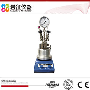 廠家可定制 高壓反應(yīng)釜 不銹鋼反應(yīng)釜