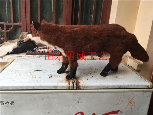 仿真動(dòng)物展覽動(dòng)物模型