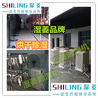 襄陽倉庫除濕機(jī)，地下室倉庫防潮除濕機(jī)