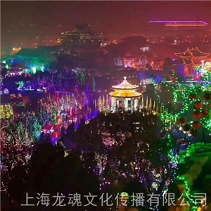 藝術(shù)景觀燈不銹鋼造型燈 夢(mèng)幻燈光節(jié)出租