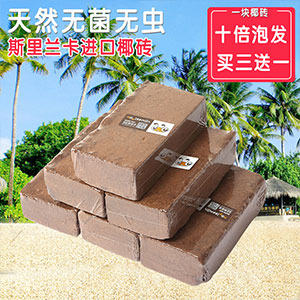 錦秀有機椰磚養(yǎng)花肥料營養(yǎng)土椰土椰糠多肉土壤植物通用花肥種植土