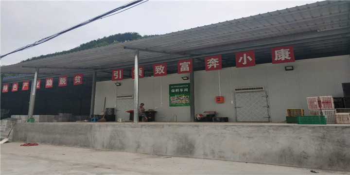 南充凍庫價格/南充冷庫價格/南充小型冷庫/南充凍庫設(shè)備