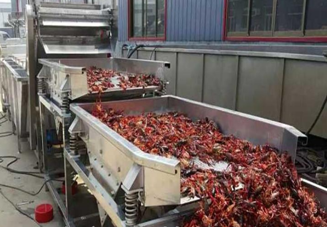 麻辣小龍蝦浸泡清洗流水線低耗能高產量