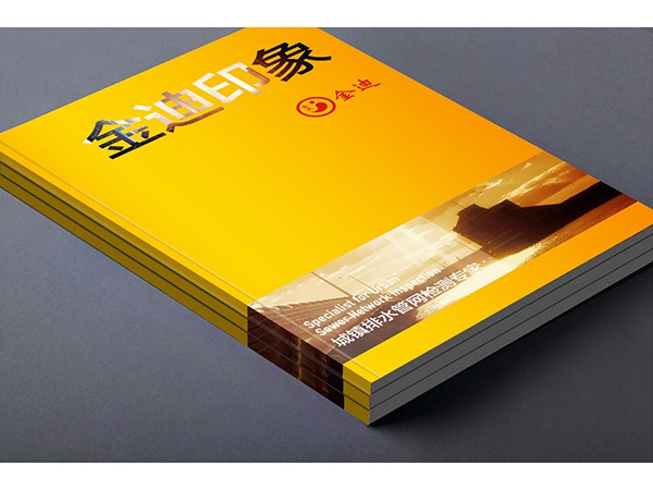 廠家直銷產(chǎn)品宣傳冊(cè) 畫冊(cè)印刷 精裝圖冊(cè)傳單印制設(shè)計(jì)