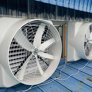 批發(fā) 冷風(fēng)機(jī) 冷風(fēng)機(jī)廠家