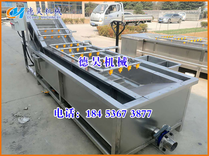 氣泡清洗機，蔬菜清洗機
