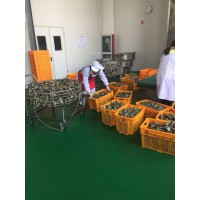 殺菌鍋，殺菌鍋供應(yīng)，殺菌鍋廠家，殺菌鍋價格，殺菌鍋直銷