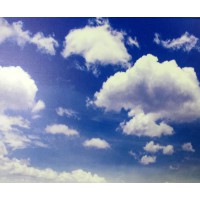 鋁單板 鋁單板廠家 鋁單板價(jià)格 造型鋁單板 彩繪鋁單板
