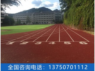 塑膠跑道 塑膠跑道廠家  塑膠跑道價(jià)格