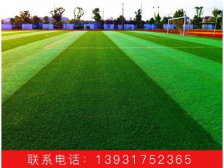 人造草坪廠(chǎng)家 人造草坪