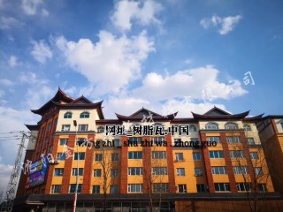 樹(shù)脂瓦 合成樹(shù)脂瓦  樹(shù)脂瓦廠家  樹(shù)脂瓦廠家直銷(xiāo)