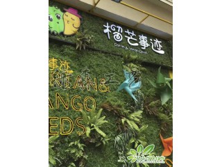 仿真植物墻 仿真植物墻生產(chǎn)廠家  沈陽(yáng)仿真植物墻批發(fā)安裝