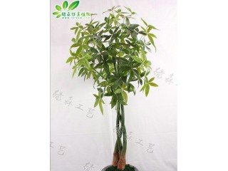 仿真辮子發(fā)財(cái)樹廠家直銷    沈陽仿真植物生產(chǎn)廠家