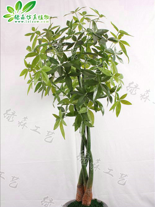 仿真辮子發(fā)財(cái)樹
