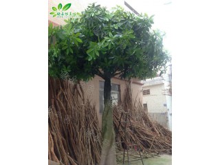 仿真大辮子發(fā)財(cái)樹  廠家直銷    沈陽仿真植物生產(chǎn)廠家