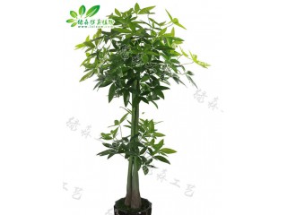 仿真兩層發(fā)財(cái)樹  廠家直銷    沈陽仿真植物生產(chǎn)廠家