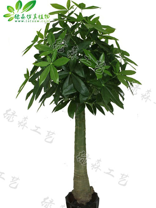仿真木瓜桿發(fā)財樹