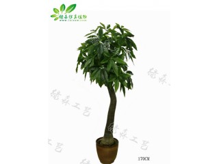 仿真彎桿發(fā)財(cái)樹   廠家直銷    沈陽仿真植物生產(chǎn)廠家