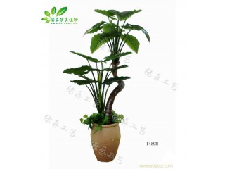 仿真滴水觀音   廠家直銷    沈陽(yáng)仿真植物生產(chǎn)廠家