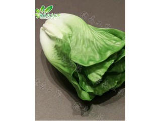 仿真白菜 廠家直銷    沈陽仿真植物生產(chǎn)廠家