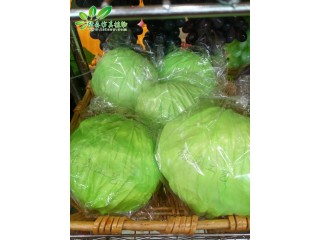 仿真包菜 廠家直銷    沈陽仿真植物生產(chǎn)廠家