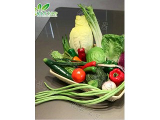 仿真蔬菜  廠家直銷    沈陽仿真植物生產(chǎn)廠家