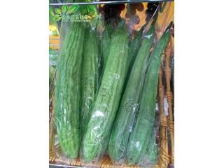 仿真絲瓜   廠家直銷  沈陽仿真植物生產(chǎn)廠家