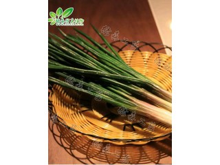 仿真香蔥  廠家直銷  沈陽仿真植物生產(chǎn)廠家