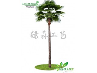 仿真棕櫚樹-老人葵   廠家直銷   沈陽(yáng)仿真植物生產(chǎn)廠家