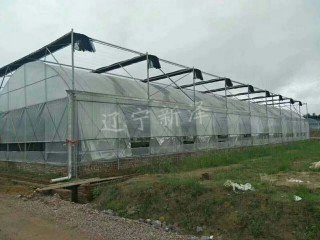 玻璃溫室大棚  沈陽(yáng)溫室大棚廠家