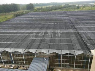 玻璃溫室大棚  沈陽(yáng)溫室大棚廠家