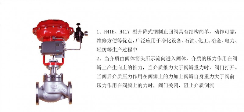 止回閥帶執(zhí)行機(jī)構(gòu)03