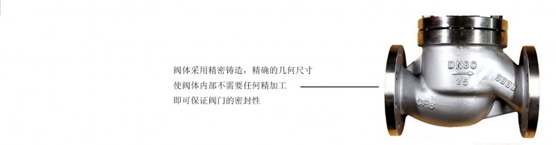 止回閥帶執(zhí)行機(jī)構(gòu)04