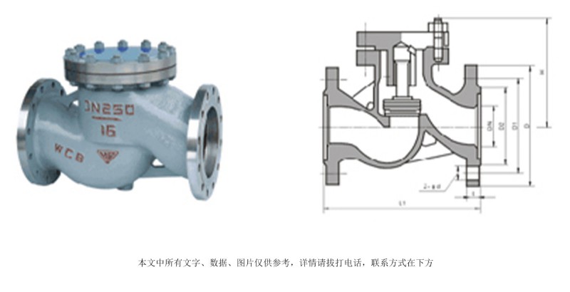 止回閥帶執(zhí)行機(jī)構(gòu)07