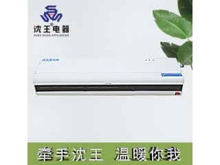 廠家直銷 軸流式水熱風(fēng)幕機(jī) 可定制多規(guī)格電熱風(fēng)幕機(jī)批發(fā)
