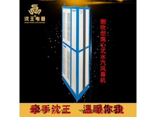 廠家直銷 側吹型離心式水汽風幕機 可定制多規(guī)格電熱風幕機批發(fā)