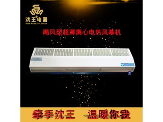 廠家直銷 颶風型超薄離心電熱風幕機 可定制多規(guī)格電熱風幕機批發(fā)