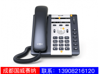 入門(mén)級(jí)IP電話機(jī)