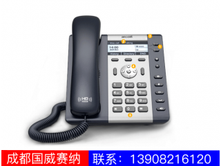 入門(mén)級(jí)IP電話機(jī)